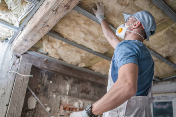 Best Geographic-Specific Insulation Services in Leon, IA