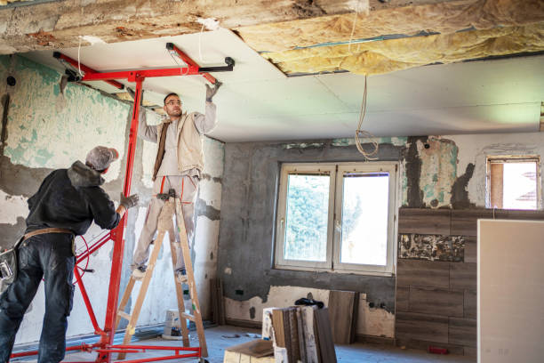 Best Specialized Insulation Services in Leon, IA